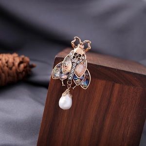 Abalone Moth Insect Brooch